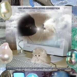 Meet your Posher, Mariah